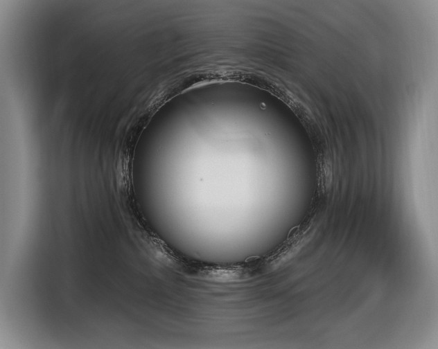 X0000116650236200912141301