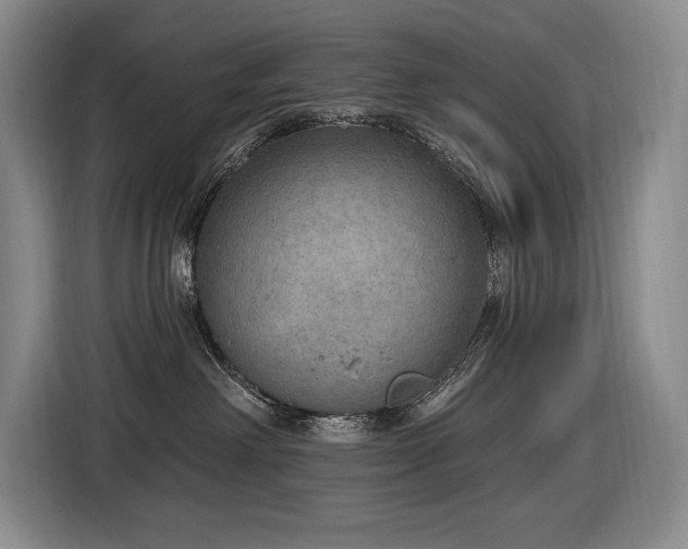 X0000116650238200912141301