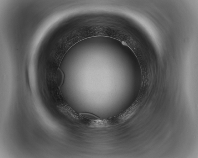X0000116650239200912141301