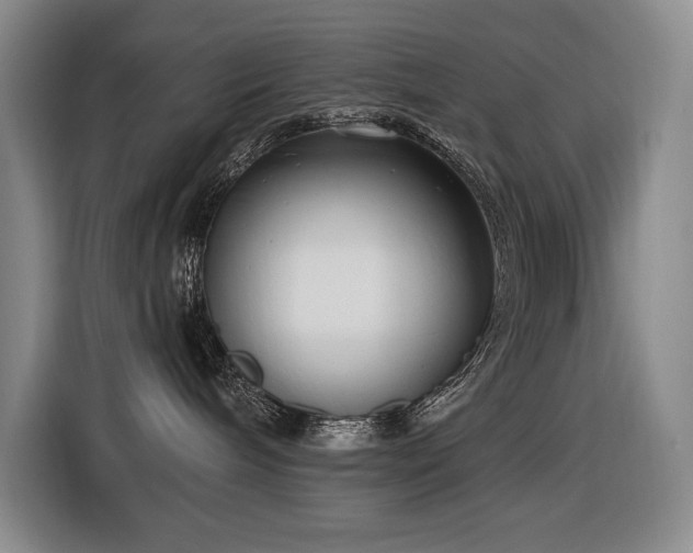 X0000116650240200912141301