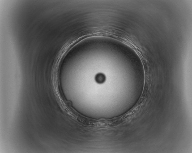 X0000116650241200912141301