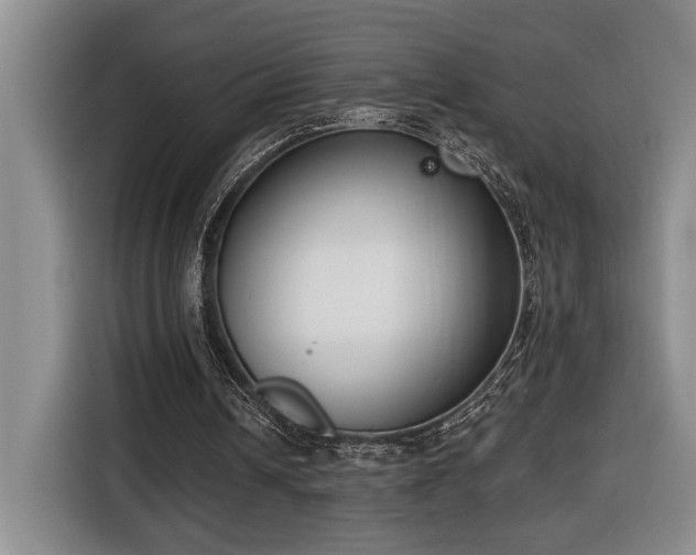 X0000116650242200912141301