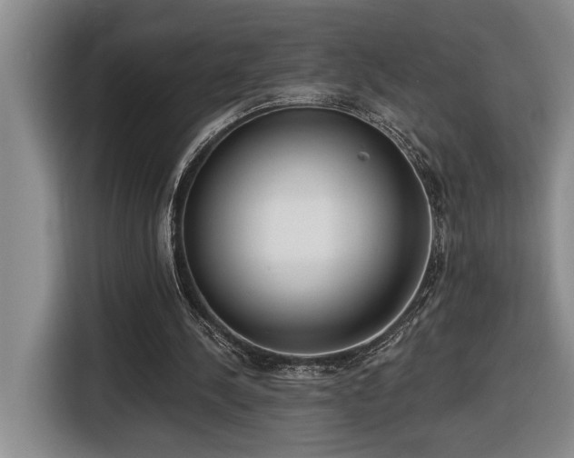 X0000116650244200912141301