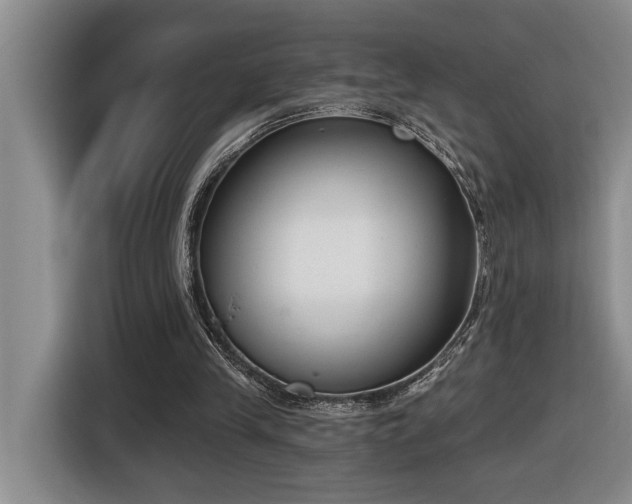 X0000116650245200912141301