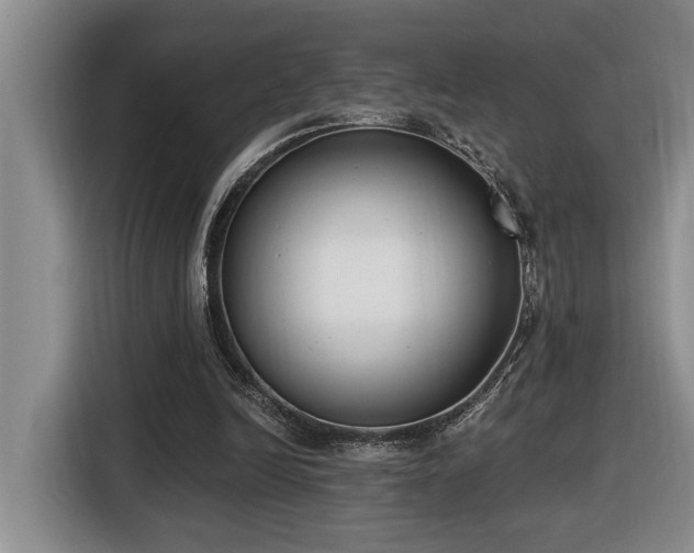 X0000116650246200912141301