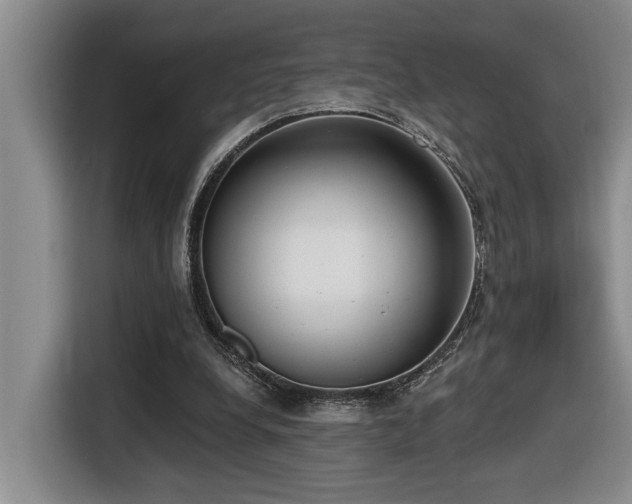 X0000116650248200912141301