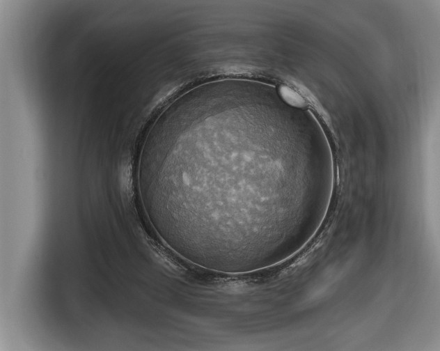 X0000116650249200912141301
