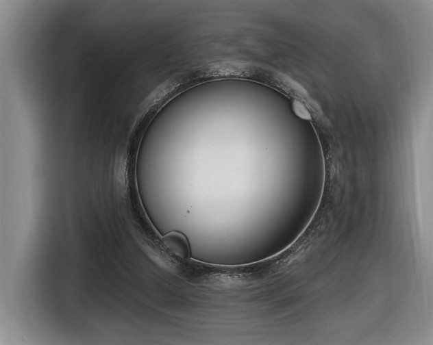 X0000116650250200912141301