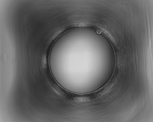X0000116650251200912141301