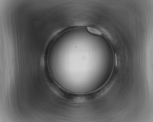 X0000116650252200912141301