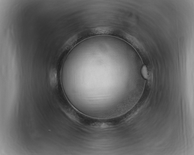 X0000116650254200912141301