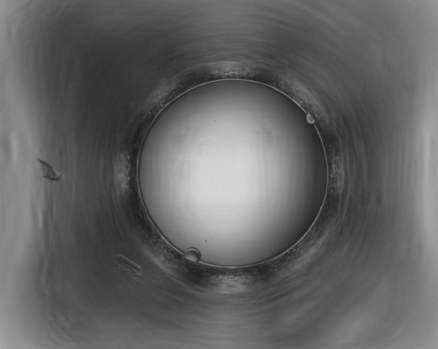 X0000116650255200912141301