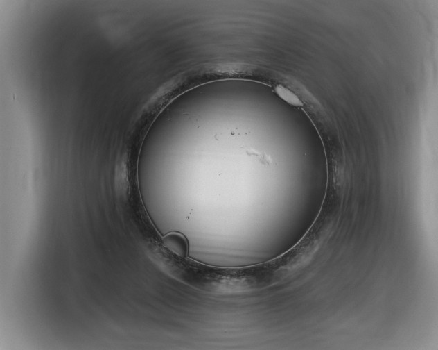 X0000116650256200912141301