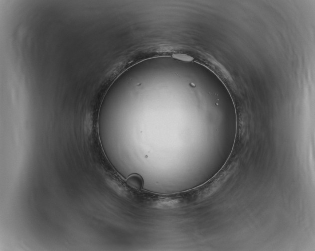 X0000116650257200912141301
