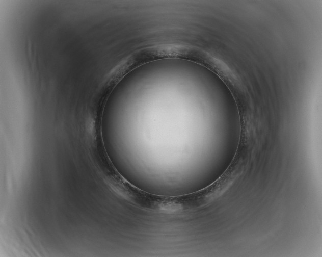 X0000116650258200912141301