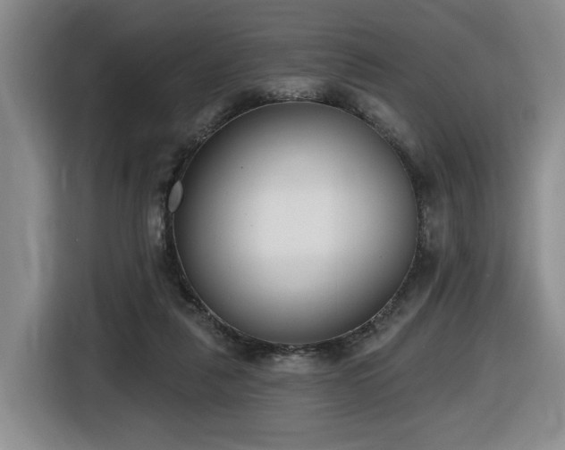 X0000116650259200912141301