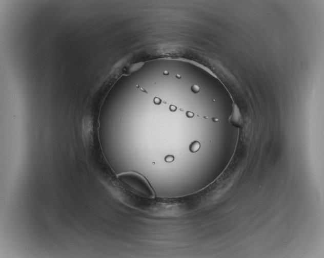 X0000116650260200912141301