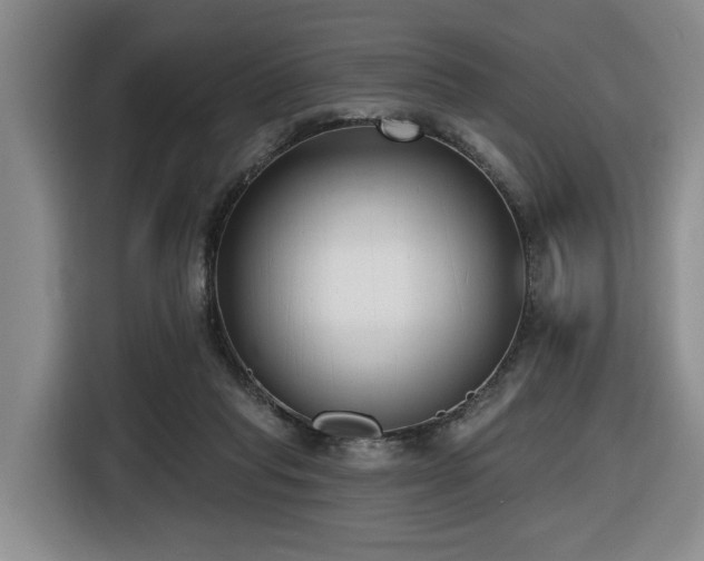X0000116650261200912141301
