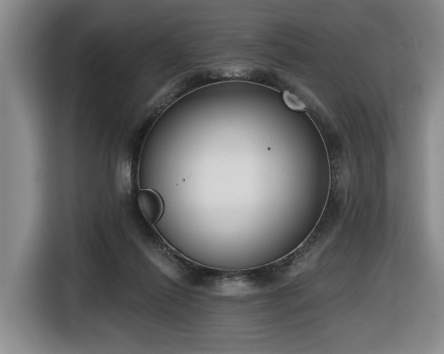 X0000116650262200912141301