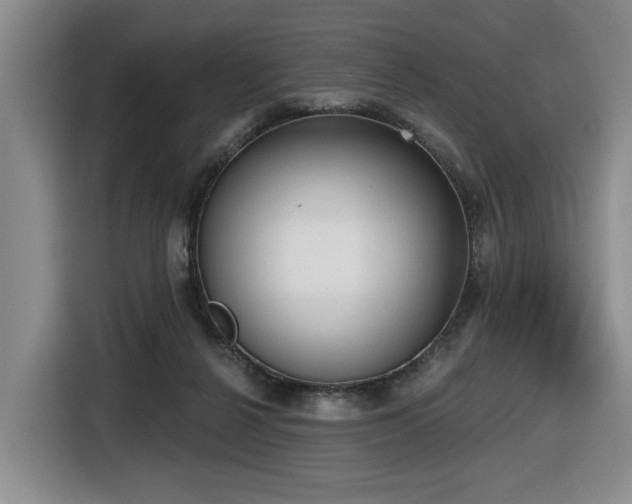 X0000116650264200912141301