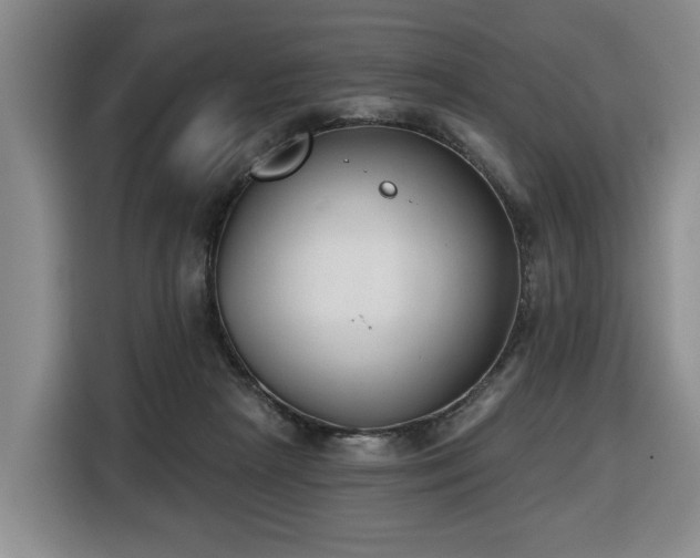 X0000116650265200912141301