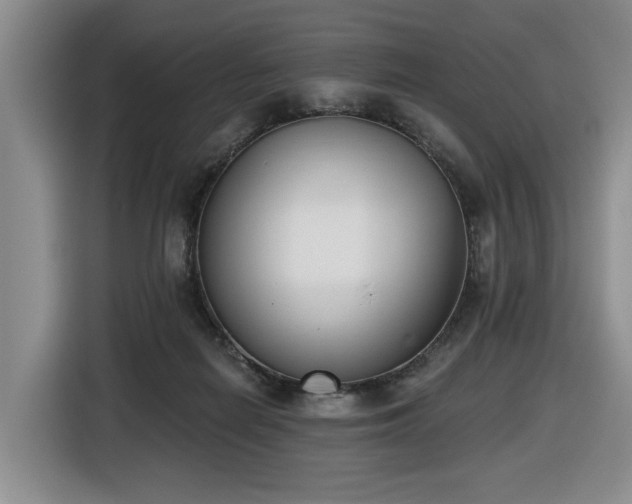 X0000116650266200912141301