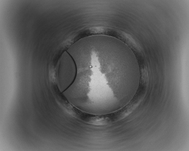 X0000116650267200912141301