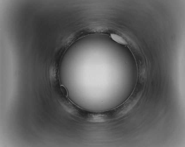 X0000116650268200912141301