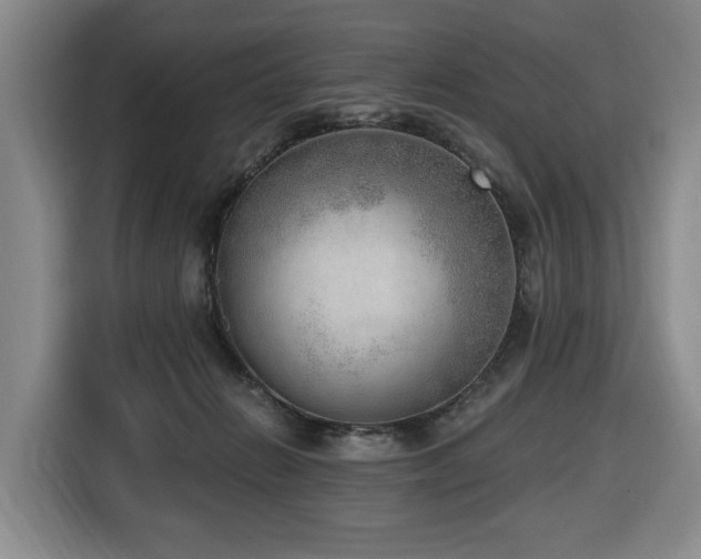 X0000116650270200912141301