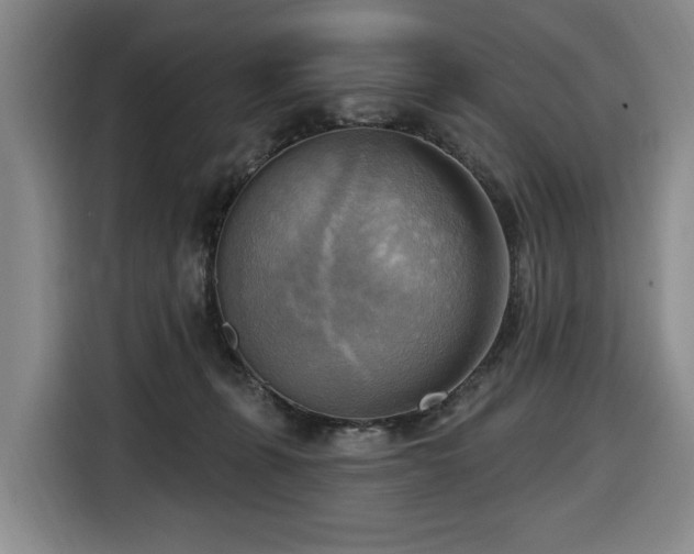 X0000116650271200912141301