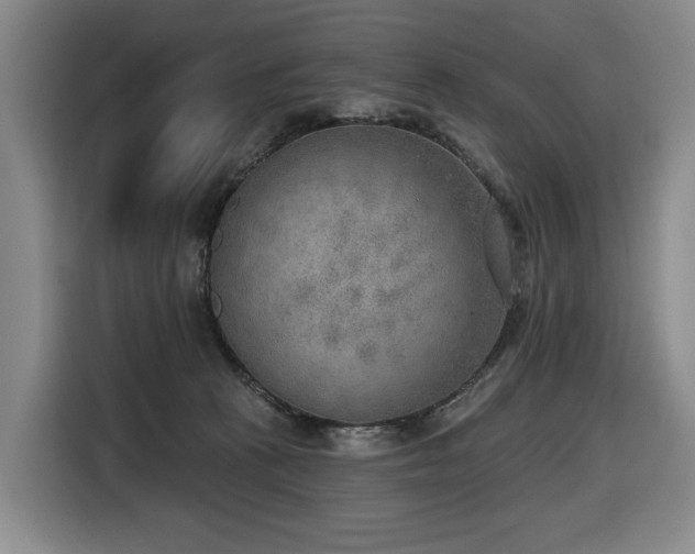 X0000116650273200912141301