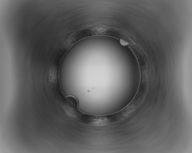 X0000116650274200912141301
