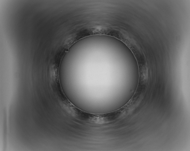 X0000116650276200912141301