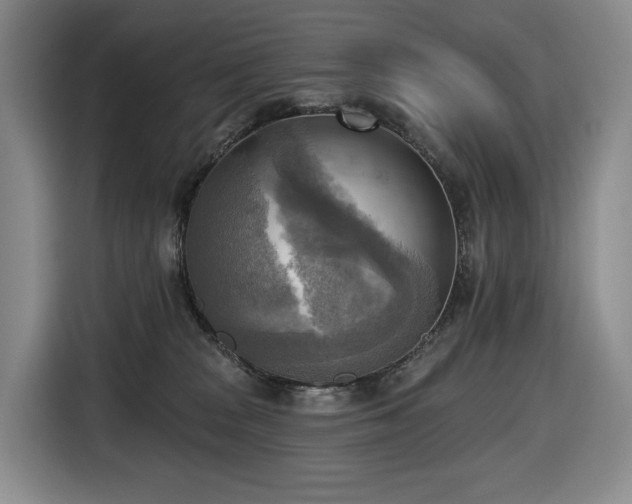 X0000116650277200912141301