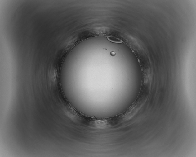 X0000116650279200912141301
