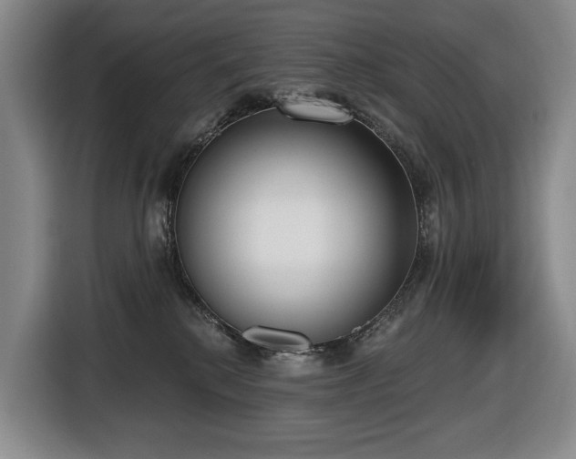 X0000116650280200912141301