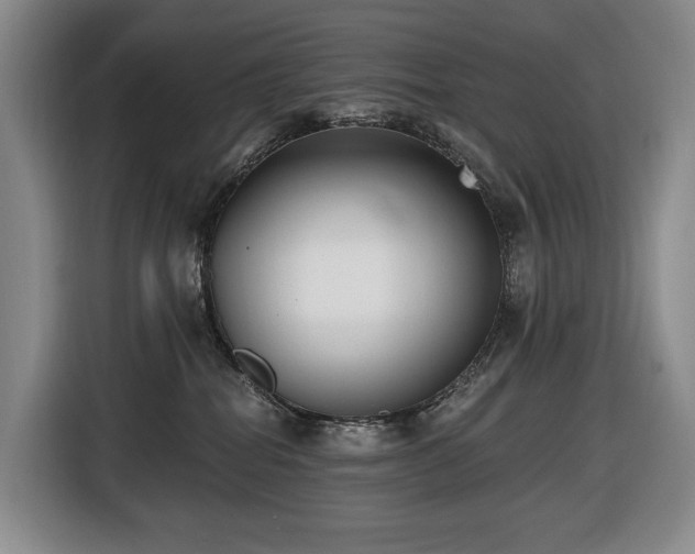 X0000116650282200912141301