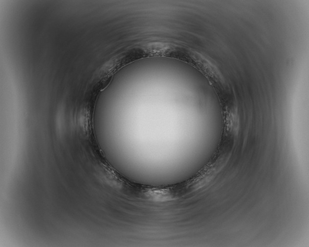 X0000116650283200912141301