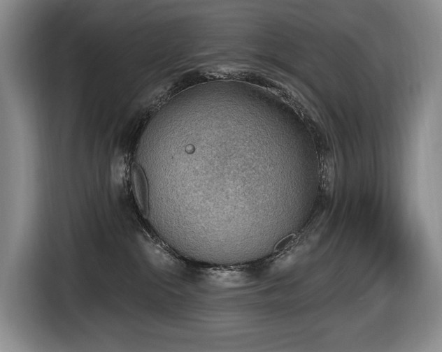 X0000116650284200912141301
