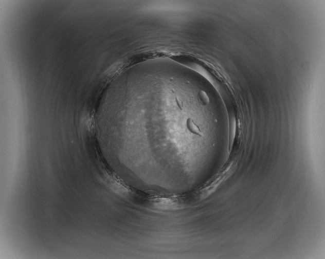 X0000116650285200912141301