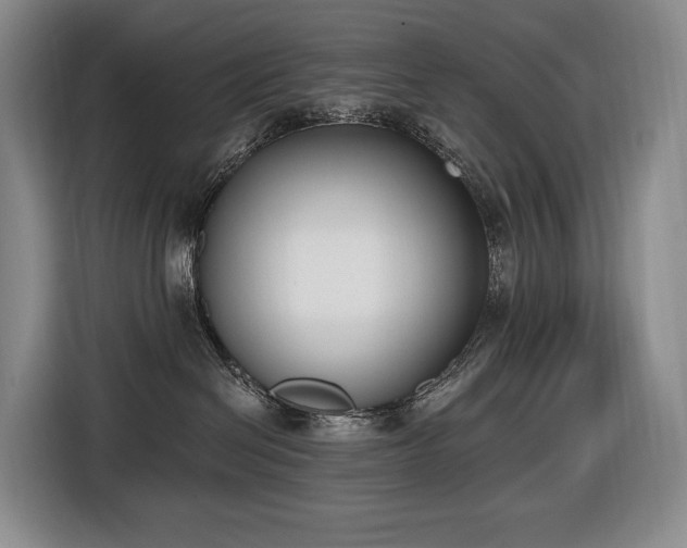 X0000116650286200912141301