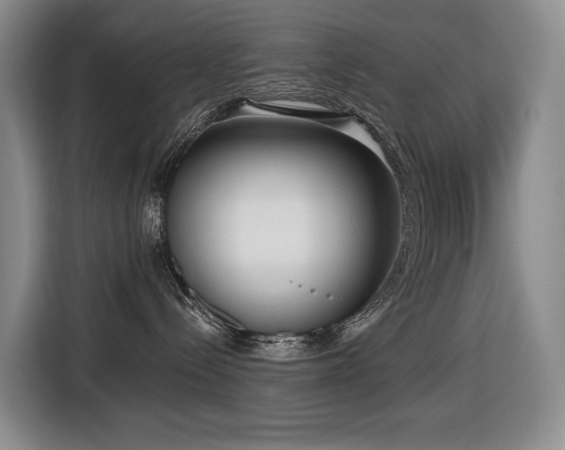 X0000116650288200912141301