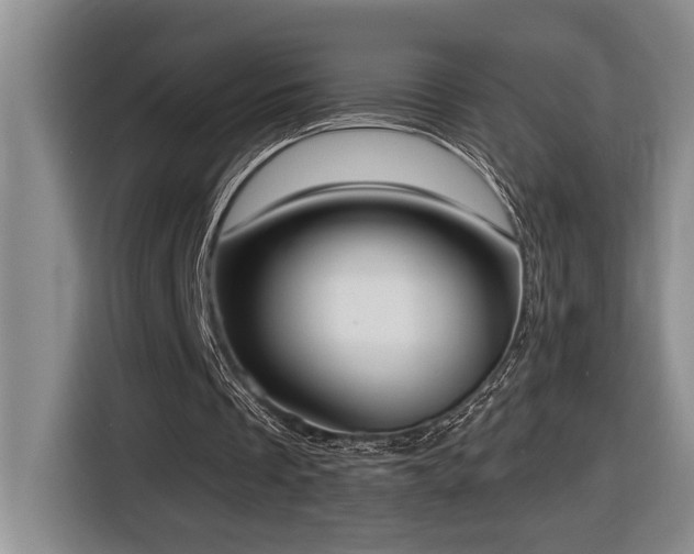 X0000116650289200912141301