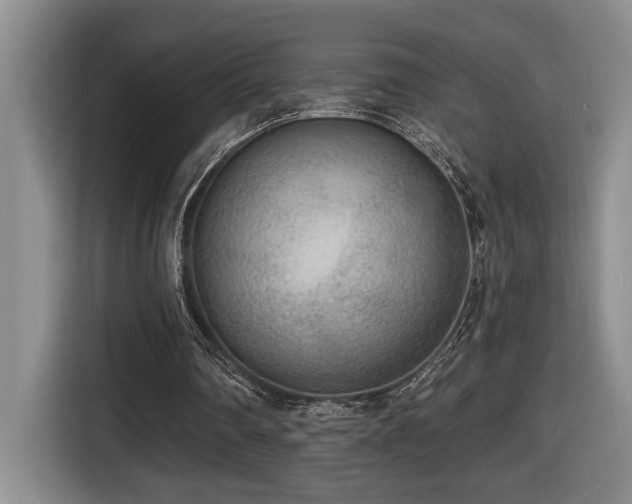 X0000116650290200912141301