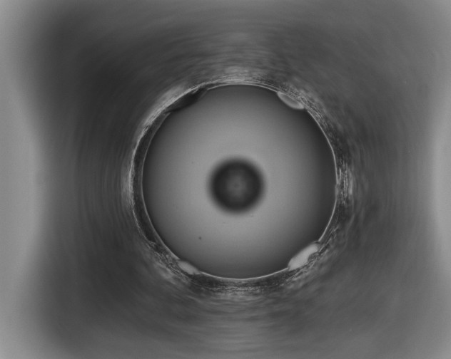 X0000116650292200912141301