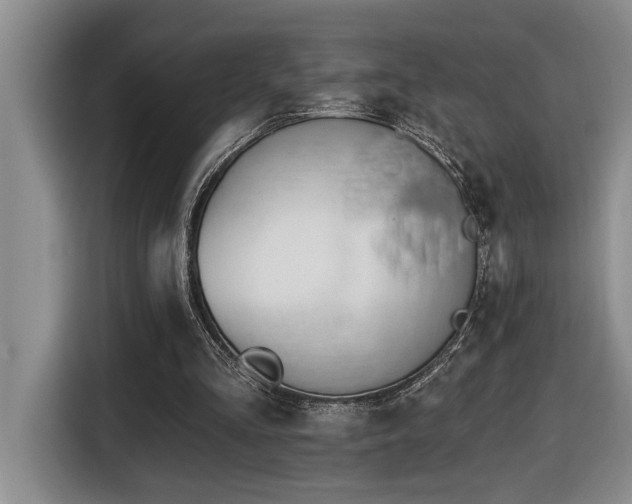 X0000116650293200912141301