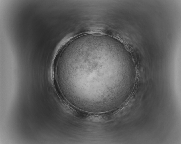 X0000116650294200912141301