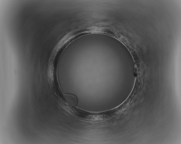 X0000116650295200912141301