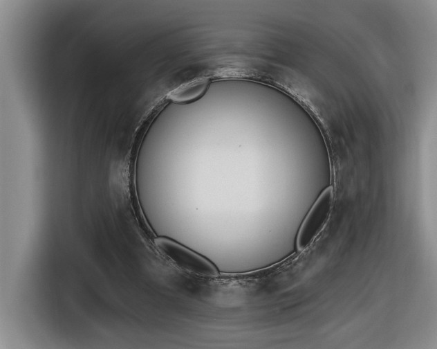 X0000116650297200912141301