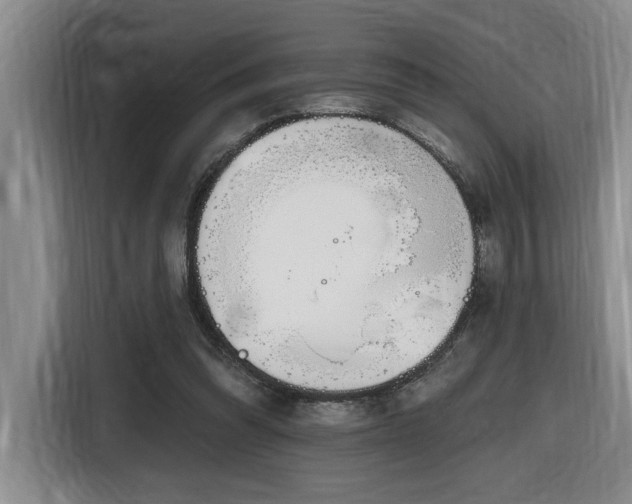X0000116650302200912141301